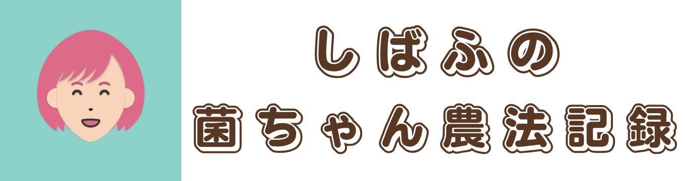 しばふの菌ちゃん農法記録